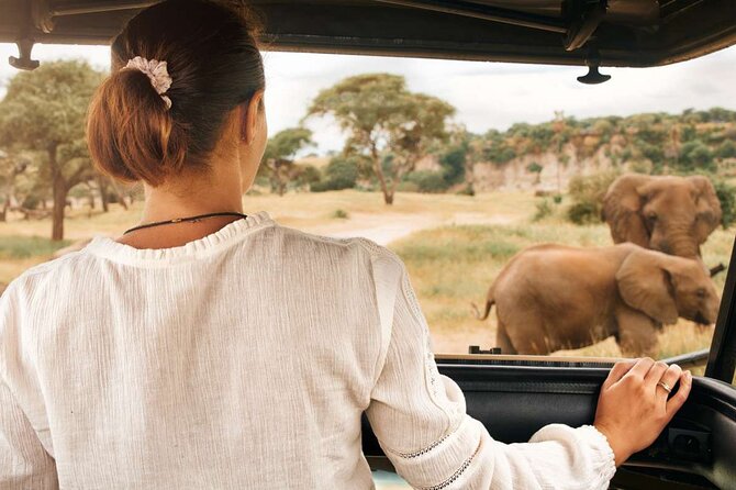 3-Hour Safari Tour in Pilanesberg National Park - Should you book this 3-hour Pilanesberg safari with MoAfrika?
