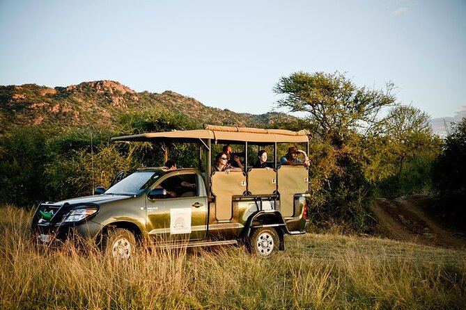 3-Hour Safari Tour in Pilanesberg National Park - Price and what you get for $60.35