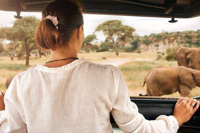 3-Hour Scheduled Safari Game Drive in Pilanesberg National Park - Sun City to Pilanesberg: the 3-hour safari rhythm