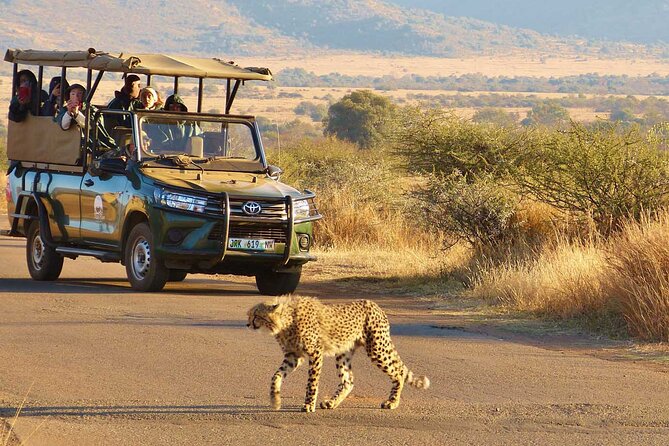 3-Hour Scheduled Safari Game Drive in Pilanesberg National Park - What to expect during the actual safari drive