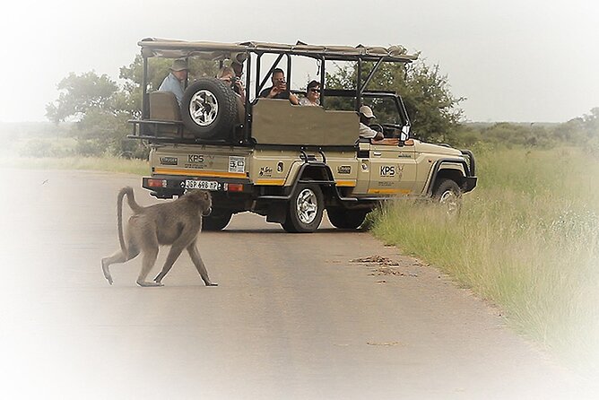 3 Night & 4 Day Private Kruger Park Safari - Key Things to Know Before You Go