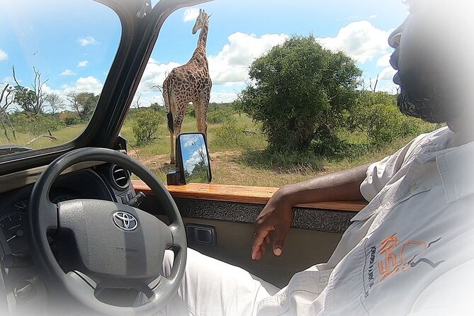 3 Night & 4 Day Private Kruger Park Safari - Private Kruger Safaris, Without the Herd Feeling