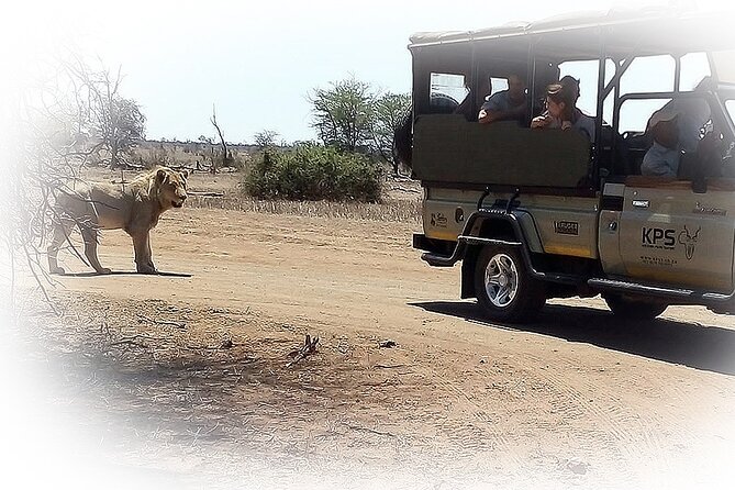 3 Night & 4 Day Private Kruger Park Safari - Day 1: Arrival, Lunch Inside Kruger, and a Sunset First Look