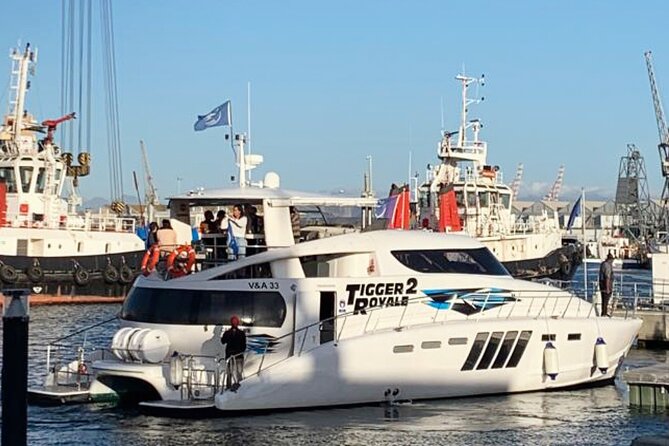 3-Nights Tour Robben Island Table Mountain and Wine Tram - Your Hotel and Transfers: Easy Pickup, Real-World Timing