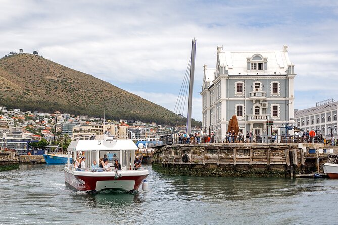 30min Harbour Boat Cruise Cape Town - Who Should Book This (And Who Might Want More Time)?