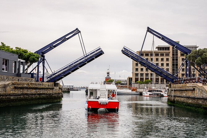 30min Harbour Boat Cruise Cape Town - The Feel of the Trip: Seats, Breeze, and the Relaxed 30 Minutes