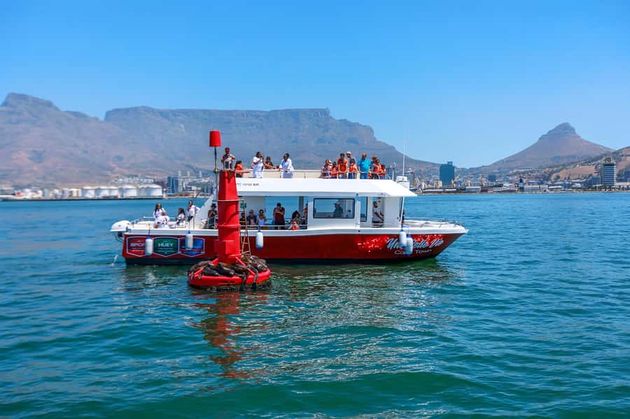 30min V&A Waterfront Harbour Cruise Cape Town - Key things to know before you board