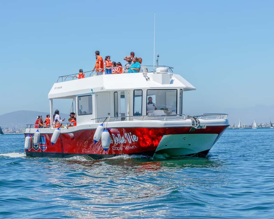 30min V&A Waterfront Harbour Cruise Cape Town - Cruising the V&A Waterfront and Cape Town harbour in 30 minutes