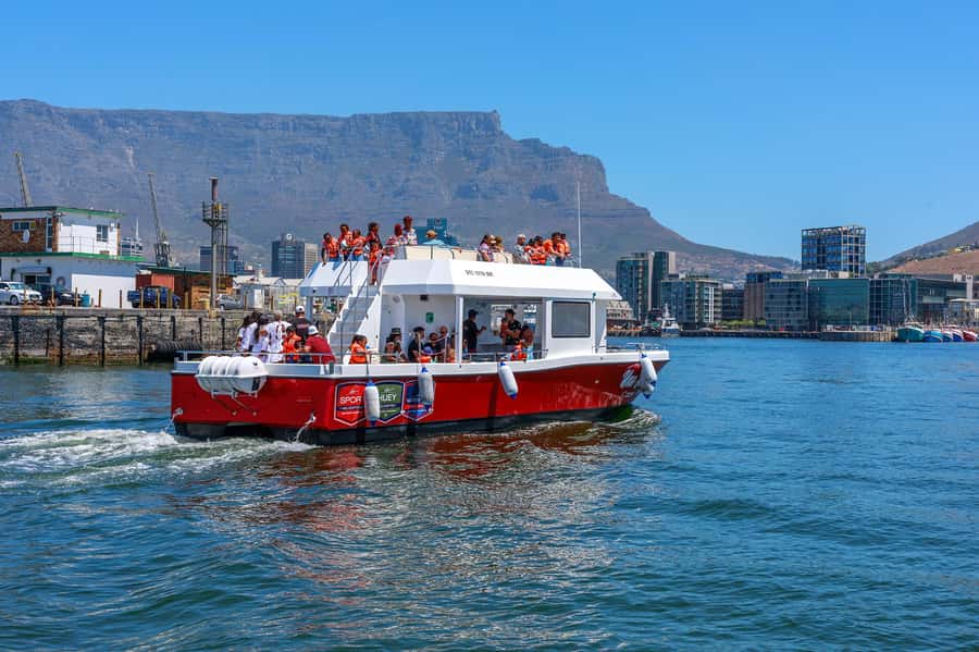 30min V&A Waterfront Harbour Cruise Cape Town - Price, the cash bar, and what you should bring