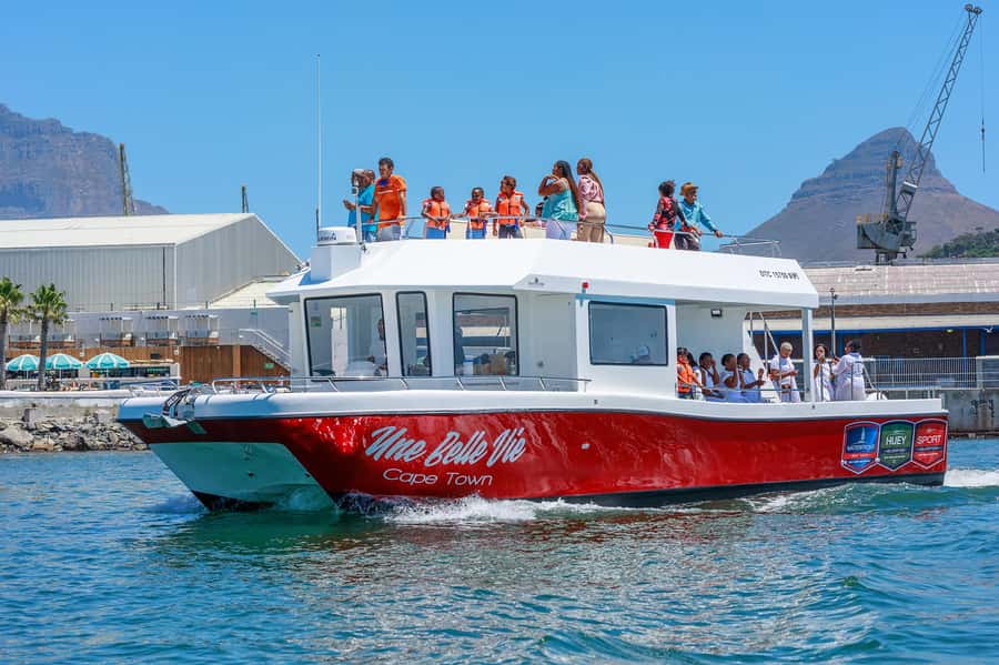 30min V&A Waterfront Harbour Cruise Cape Town - Should you book the 30-minute V&A Harbour Cruise?