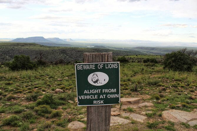 4 Day Addo to Karoo Safari - Who This Safari Suits Best, and Who Might Prefer Something Else