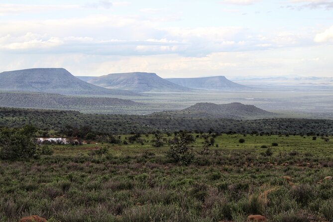 4 Day Addo to Karoo Safari - Should You Book the 4 Day Addo to Karoo Safari?