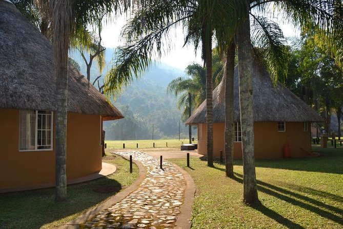 4 Day All Incl. Private Kruger Park Safari and Transfer From Nelspruit - Day 4 morning safari: one last chance before you head back