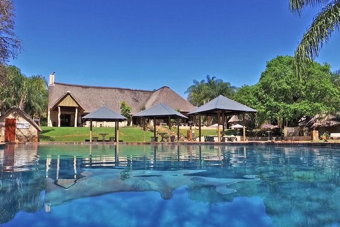 4 Day All Incl. Private Kruger Park Safari and Transfer From Nelspruit - Meals and comfort: food is handled, alcohol is not