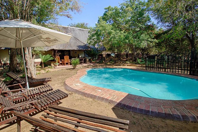 4 Day Budget Kruger National Park Safari - Day 3 in Kruger (Orpen): Full Day Game Viewing Plus Bird-Watching