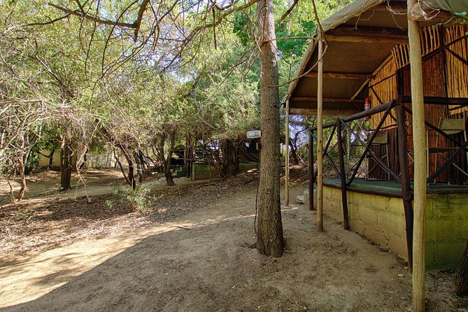 4 Day Budget Kruger National Park Safari - Marc’s Camp Tented Nights: What Camping Comfort Looks Like Here