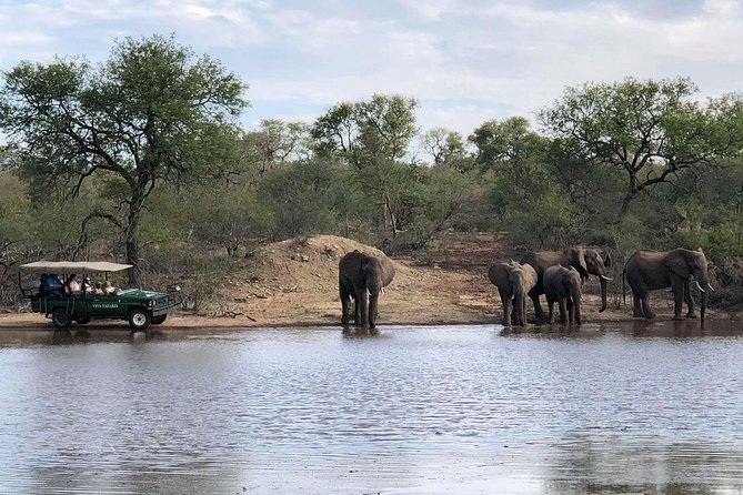 4 Day Budget Kruger National Park Safari - Day 4: Armed Walk Near Marc’s Treehouse Lodge, Then the Three Rondawels