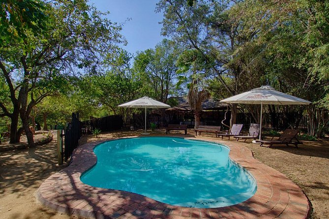 4 Day Budget Kruger National Park Safari - Who This Safari Fits Best (And Who Should Think Twice)