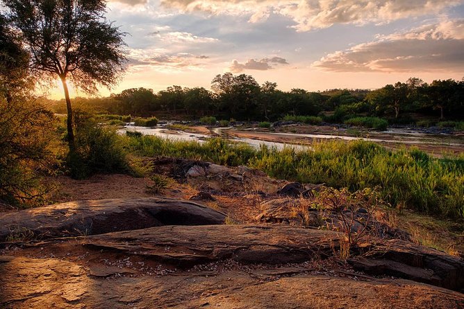 4 Day Budget Kruger National Park Safari - Day 2 in Balule: Olifants River Walking Safari with Armed Rangers