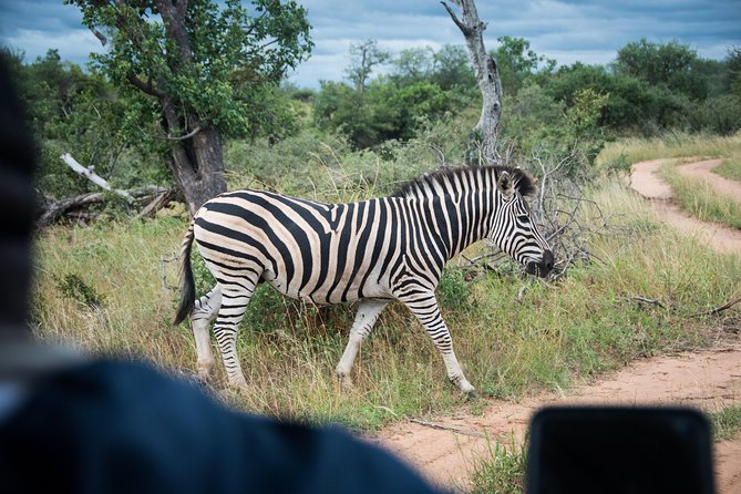 4 Day Classic Kruger National Park Safari - Day 4: Sunrise Drive, Three Rondawels, and Blyde River Canyon Before JHB
