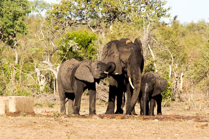 4 Day Classic Kruger National Park Safari - Price and Value: What $1,020.78 Covers and Why It Feels Fair