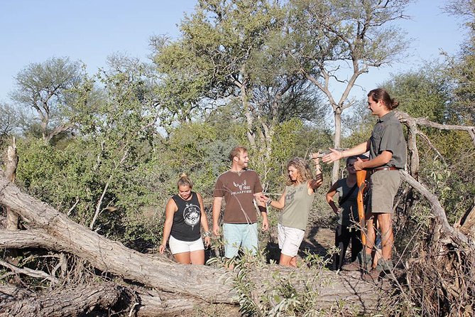 4 Day Classic Kruger National Park Safari - Guides Like Collette, Raymond, Elias, Shannon, and Victor