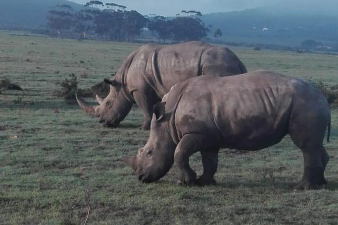4 Day Garden Route Adventure & Safari - Price and Logistics for a 4-Day Garden Route and Safari
