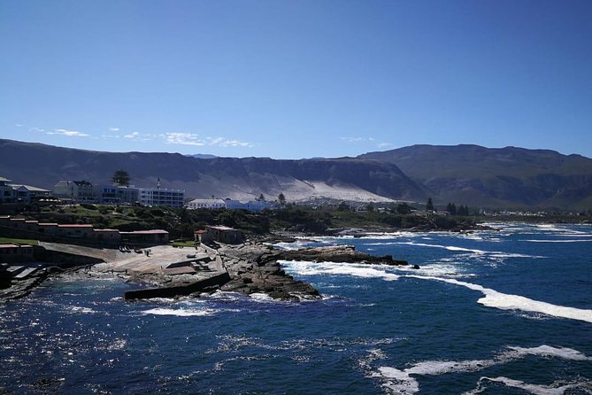 4 Day Garden Route Adventure & Safari - Day 3: Tsitsikamma Hanging Bridge, Bloukrans Bungy, and Big Wildlife Time