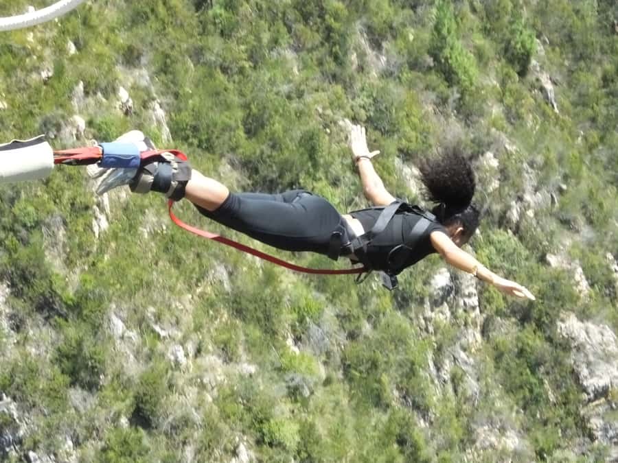 4-Day Garden Route Experience - Who this Garden Route tour is best for