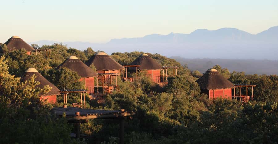 4-Day Garden Route Experience - Choosing optional add-ons in Knysna and Plettenberg Bay