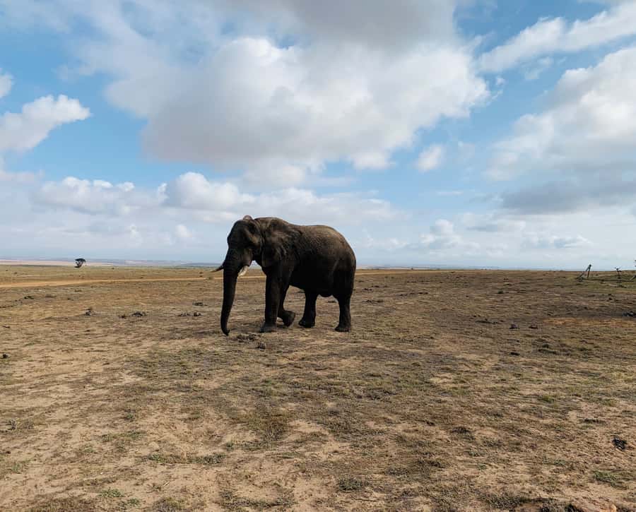 4-Day Garden Route Experience - Price and logistics: what your $701 buys you