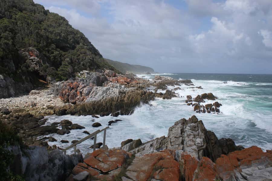 4-Day Garden Route Experience - Meals, group pace, and why meals matter on this route