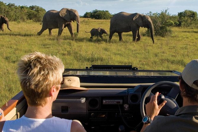4 Day Garden Route Luxe Selection Micro Group Tour from Cape Town - Key points before you go