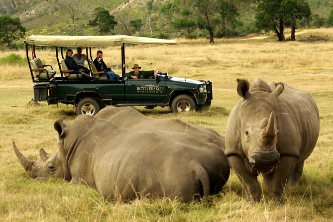 4 Day Garden Route Luxe Selection Micro Group Tour from Cape Town - A micro-group Garden Route that stays human