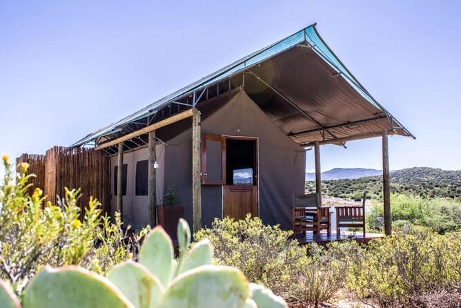 4 Day Garden Route Luxe Selection Micro Group Tour from Cape Town - Who this Garden Route luxe micro tour suits best