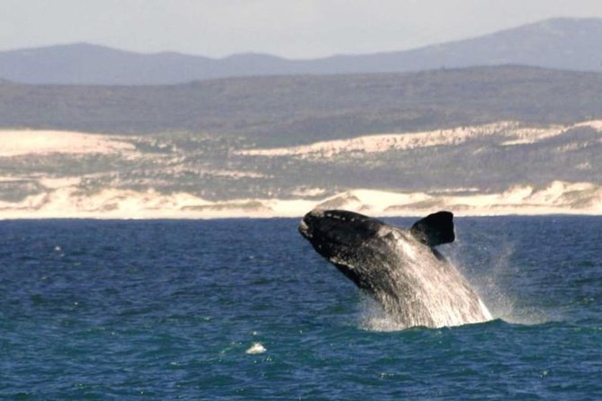 4 Day Garden Route Luxe Selection Micro Group Tour from Cape Town - Getting ready: small details that make the day easier
