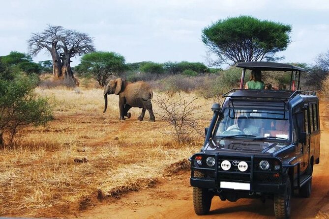 4 Day Garden Route Tour from Cape Town A Hiking and Safari - Key highlights at a glance