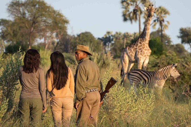 4 Day Garden Route Tour from Cape Town A Hiking and Safari - What you really get for the price, and where the value shows