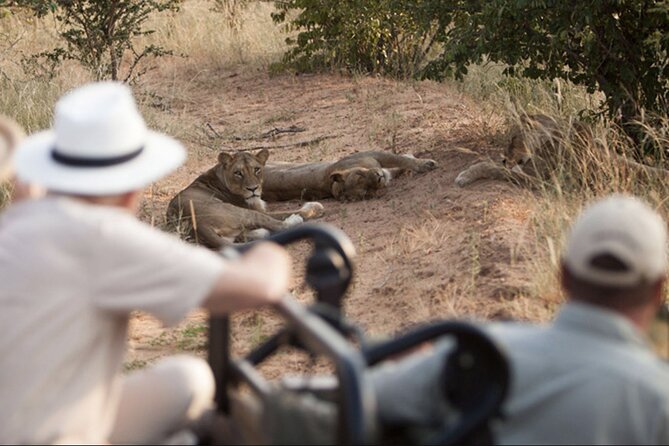 4 Day Greater Kruger Kapama Game Lodge Safari with Panorama Route Journey - Price and what $2,164.51 buys you in real terms