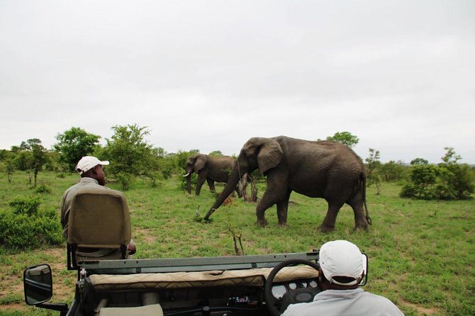 4 Day Greater Kruger National Park Adventure Safari - Key Things I’d Prioritize on This Safari