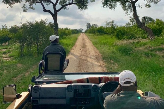 4 Day Greater Kruger National Park Adventure Safari - Meals, Camp Comfort, and the Little Details That Make Safari Feel Worth It
