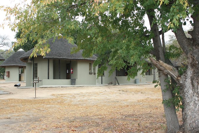 4 Day Greater Kruger National Park Adventure Safari - Transfers and Group Size: The Logistics That Affect Your Mood