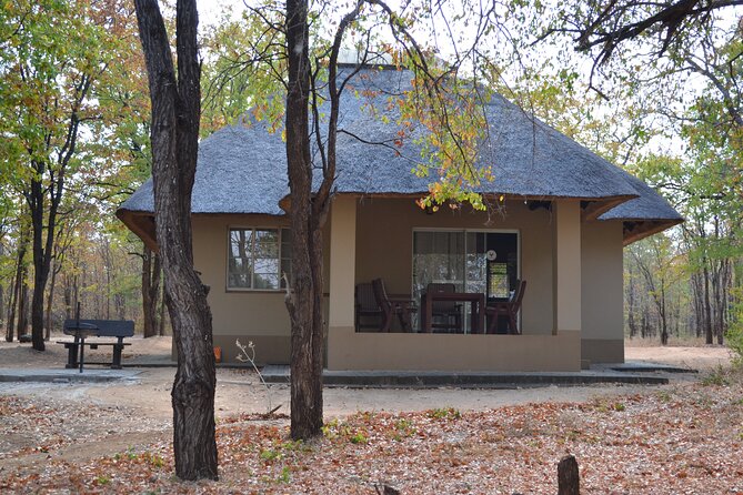 4-Day Hluhluwe Imfolozi and St Lucia Safari from Durban - Durban to Hluhluwe: the ride north sets the tone