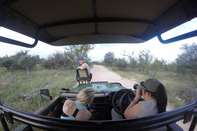 4 Day Katekani Lodge Kruger National Park Safari - Day 1: Balule Nature Reserve sunset drive, Marula Tree Boma bush BBQ, and a night drive