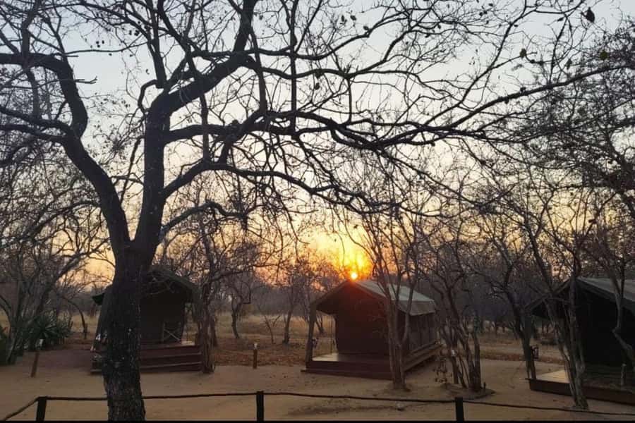 4 Day Kruger Glamping Budget Adventure - Sekekama Tented Camp, comfort level check