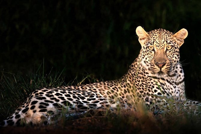 4 Day Kruger National Park and Panorama Route Safari - Key points to know before you go