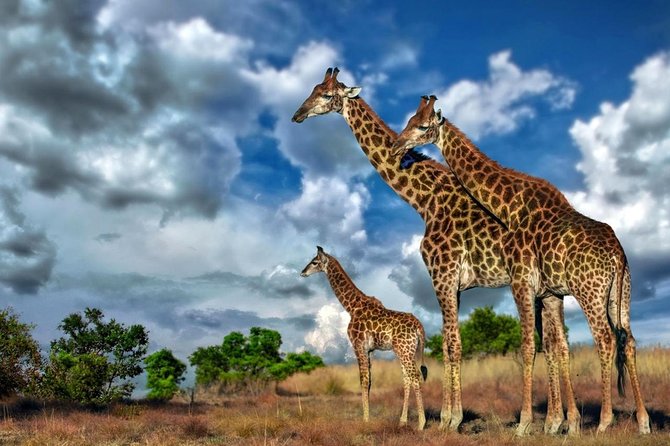4 Day Kruger National Park and Panorama Route Safari - Lunch on your own, and why that is not all bad