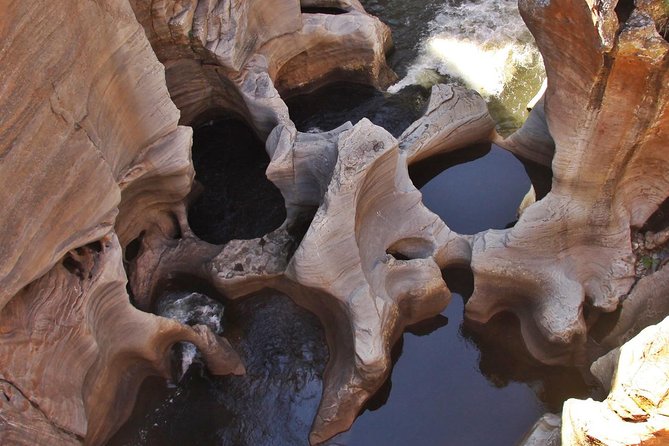 4 Day Kruger National Park and Panorama Route Safari - When you hear the guide name, take it seriously