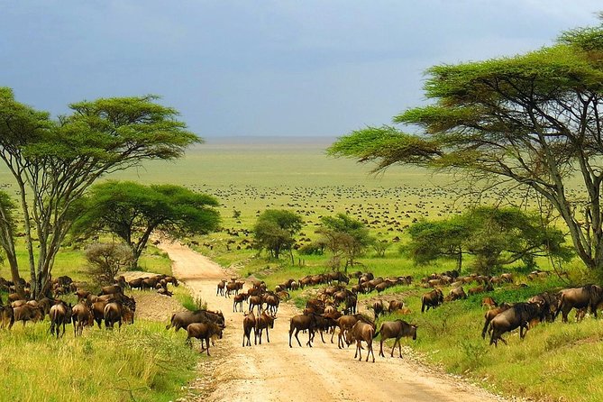 4 Day Kruger National Park and Panorama Route Safari - Panorama Route day: long, scenic, and built around classic stops