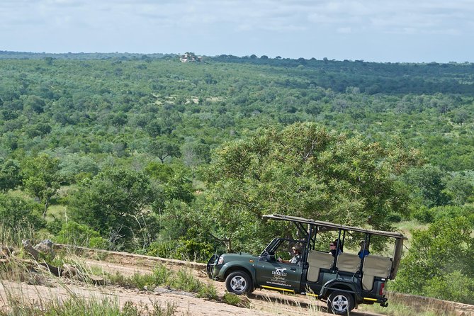 4-Day Kruger National Park Safari including Breakfast and Dinner - Gecko Lodge and Hazyview: a smart base for Kruger days